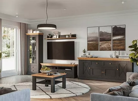Набор мебели для гостиной Форест 1 (Графит/бейц-масло) купить в Москве - фото №1
