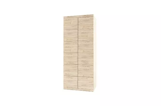 Шкаф 2DG OSKAR купить в Москве - фото №1