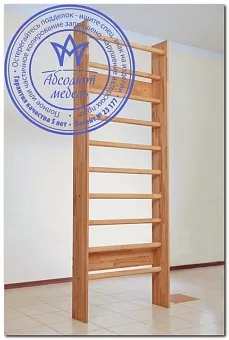 Шведская стенка Лидер Е-06-1 купить в Москве - фото №1