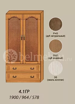 Модульная прихожая Вилия-М Шкаф комбинированный №4.1 ГР купить в Москве - фото №1