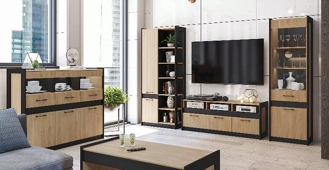 Набор мебели для гостиной Стенли 1 (Дуб Прованс/черный) купить в Москве - фото №1