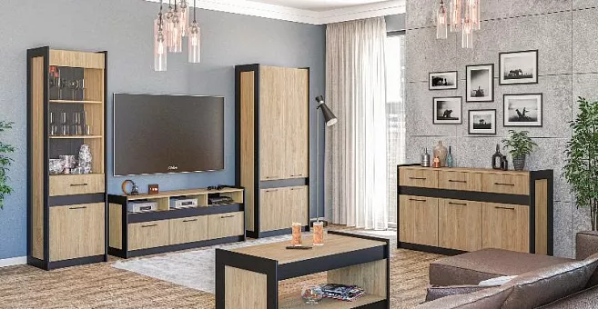 Набор мебели для гостиной Стенли 2 (Дуб Прованс/черный) купить в Москве - фото №1