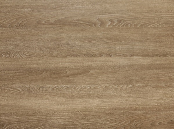 массив дуба